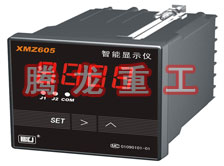 溫度表、數(shù)字顯示儀、濕度表