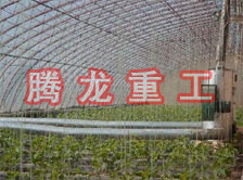 大棚花卉供暖設(shè)備、大棚卉采暖設(shè)備、大棚花卉取暖設(shè)備