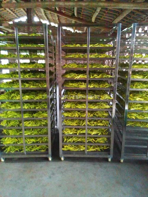 黃花菜烘干機(jī)、黃花菜烘干設(shè)備、黃花菜干燥機(jī)、黃花菜干燥設(shè)備、